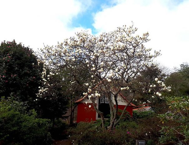 Casas de Pedra - Turismo Rural | Garden Madeira
