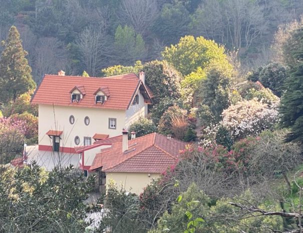 Casas de Pedra | Turismo Rural | Madeira